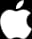aapl Logo